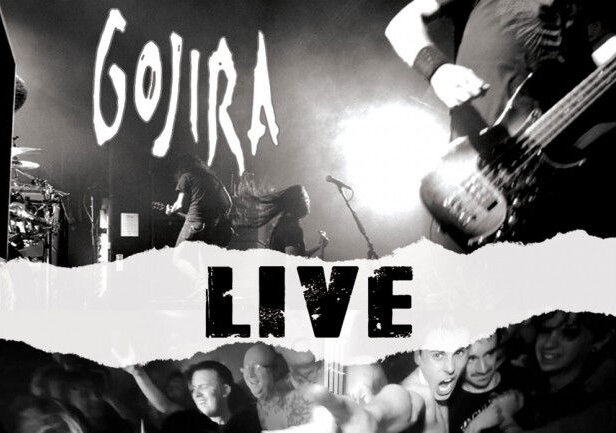 GOJIRA!!!!!!! | Community Playlist on Amazon Music Unlimited